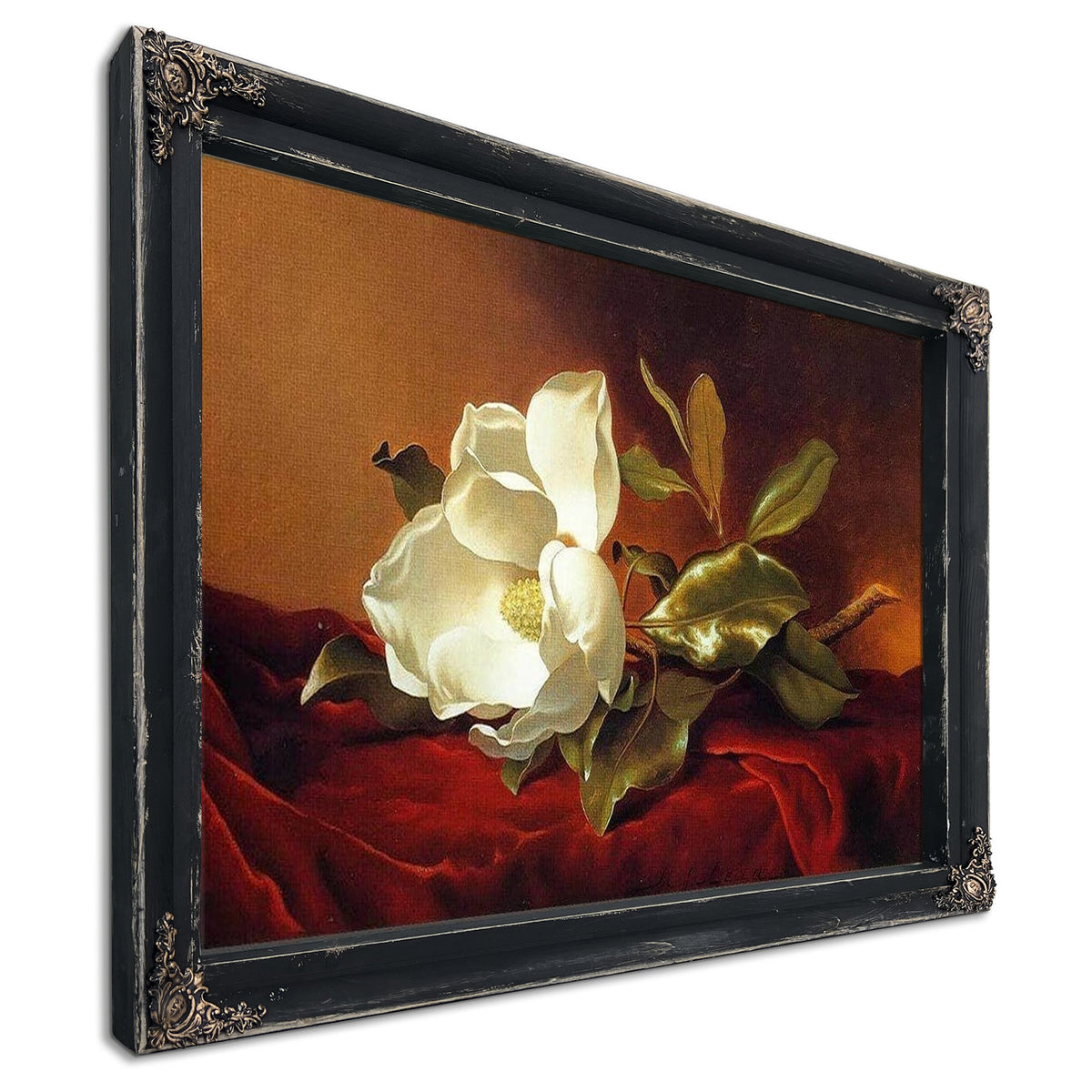 A Magnolia On Red Velvet By Martin Johnson Heade