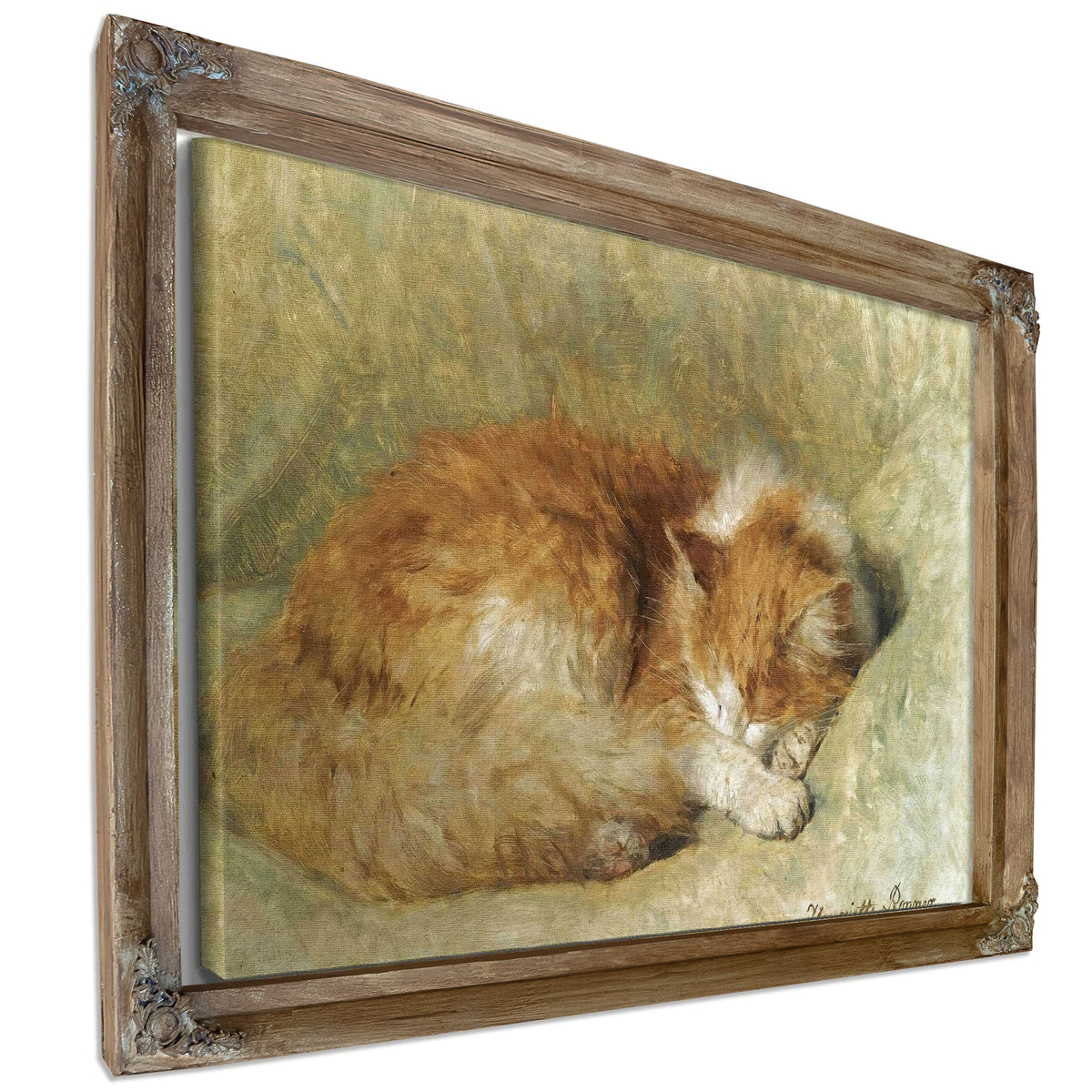 A Sleeping Cat by Henriette Ronner Knip