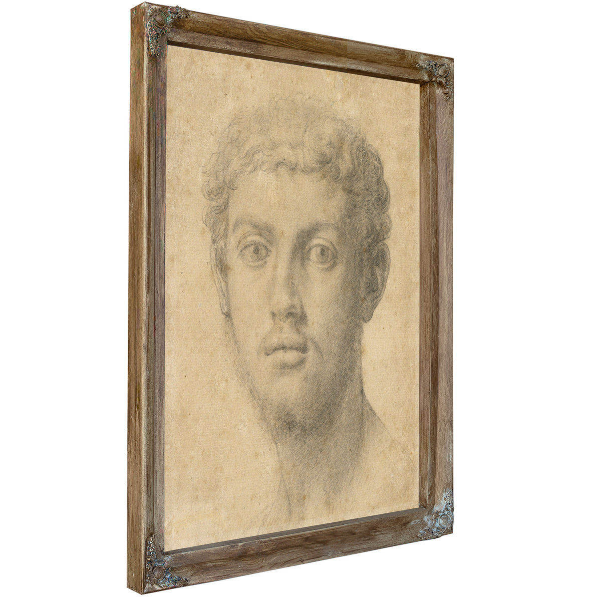 Head a Man 15501555 By Agnolo Bronzino