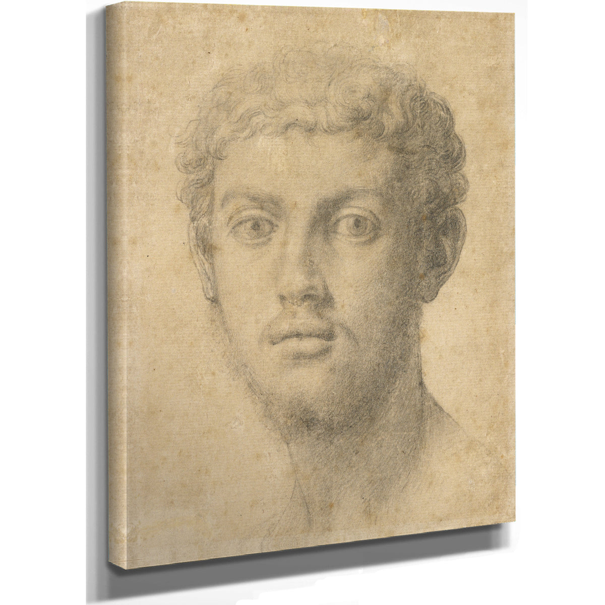 Head a Man 15501555 By Agnolo Bronzino