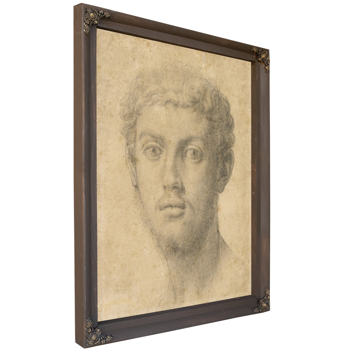 Head a Man 15501555 By Agnolo Bronzino