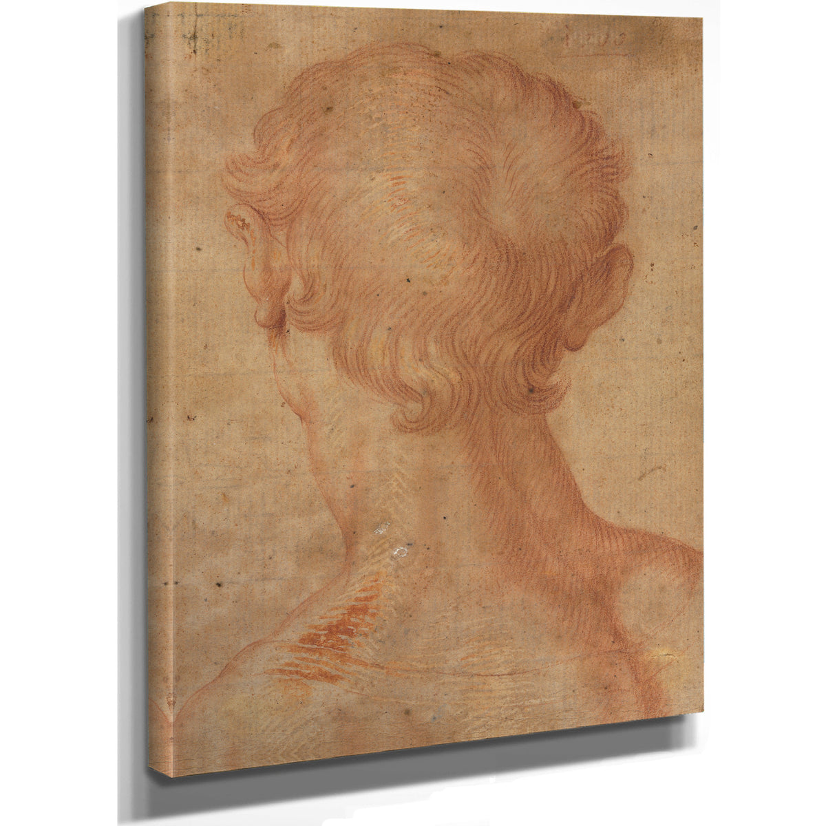 Mans Head the Back 16th Century By Agnolo Bronzino