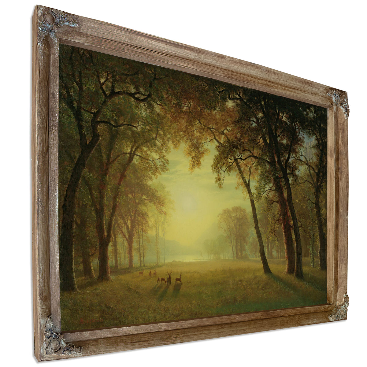 Deer a Clearing Yosemite By Albert Bierstadt