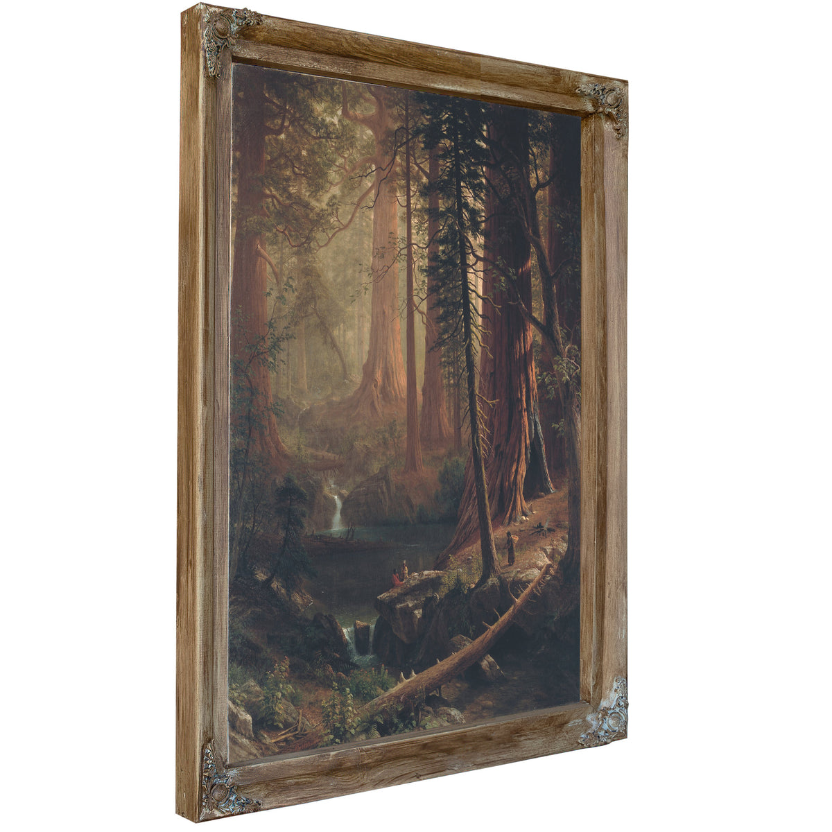 Giant Redwood Trees California 1874 By Albert Bierstadt