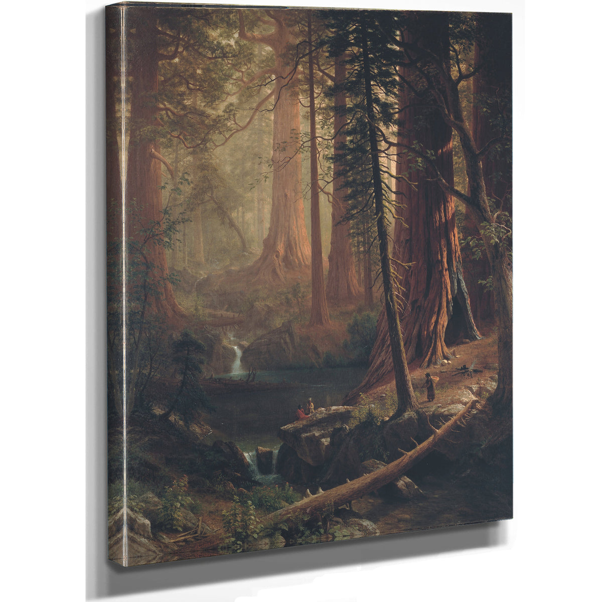 Giant Redwood Trees California 1874 By Albert Bierstadt