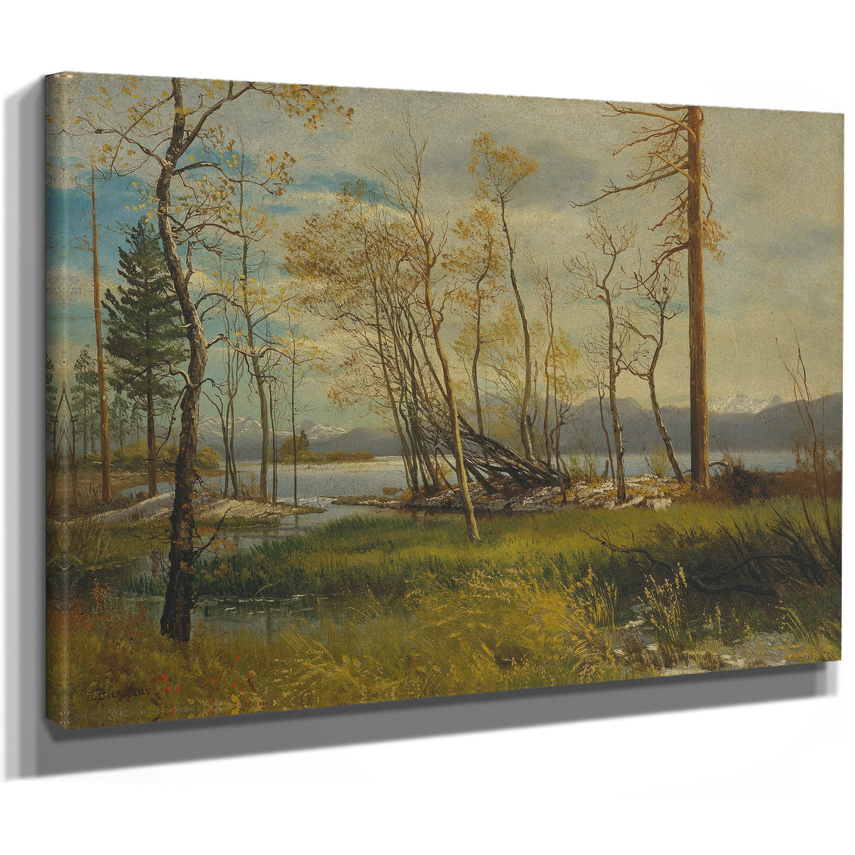 Lake Tahoe 1872 By Albert Bierstadt