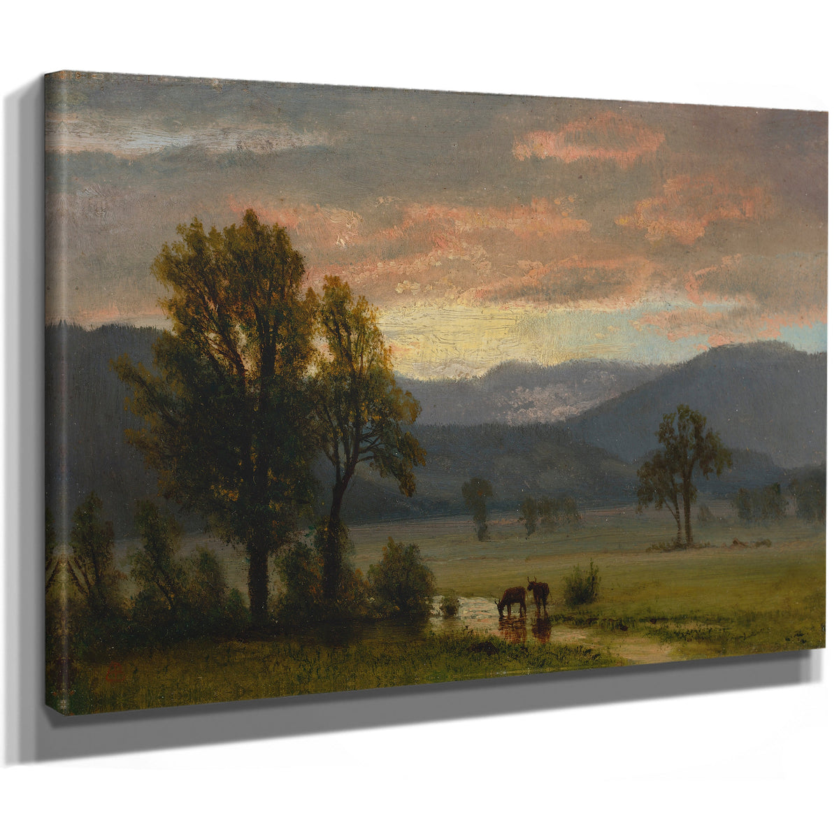 Landscape Cattle By Albert Bierstadt