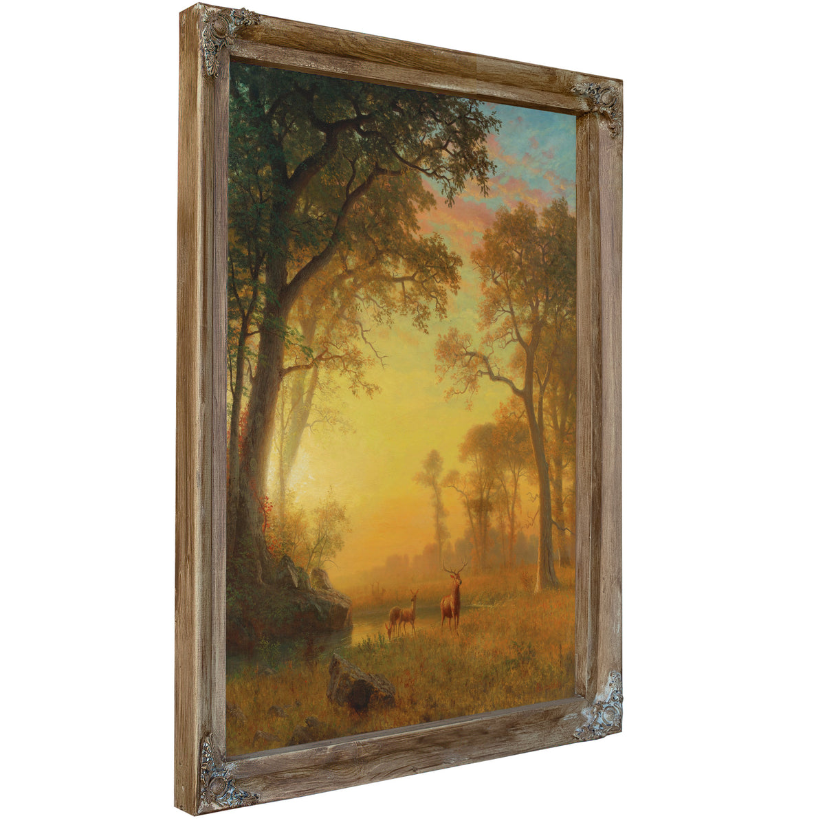 Light the Forest By Albert Bierstadt