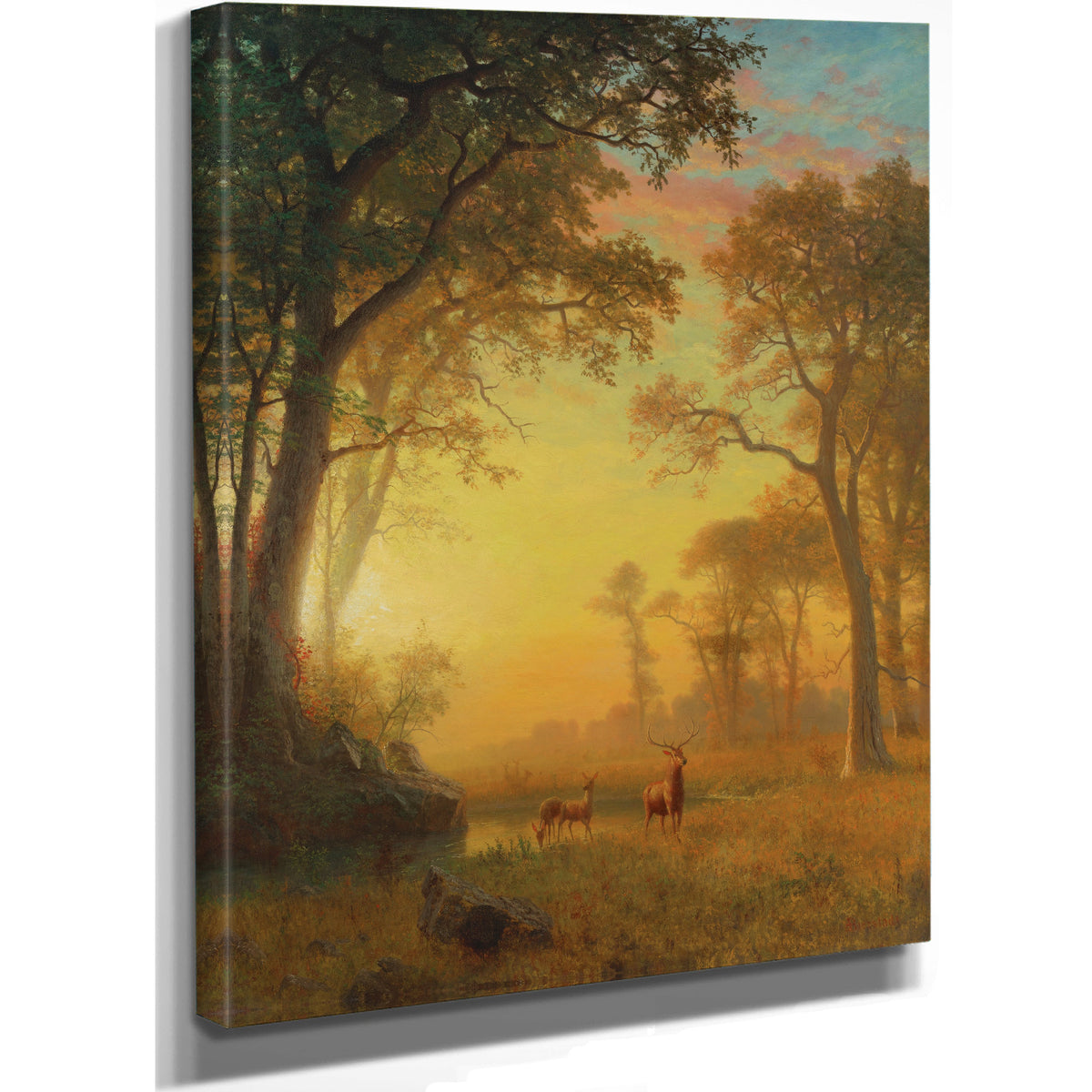 Light the Forest By Albert Bierstadt