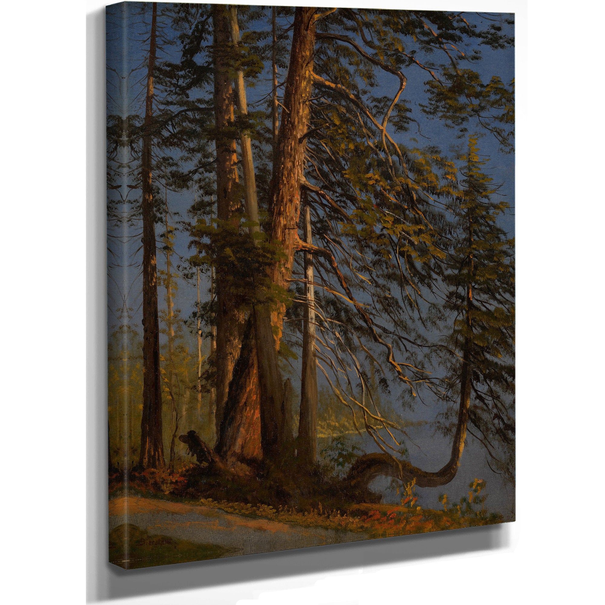 Park Vancouver Ca 1889 By Albert Bierstadt