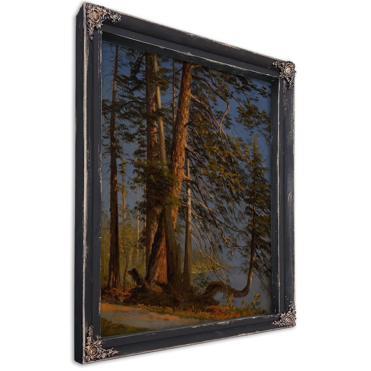 Park Vancouver Ca 1889 By Albert Bierstadt