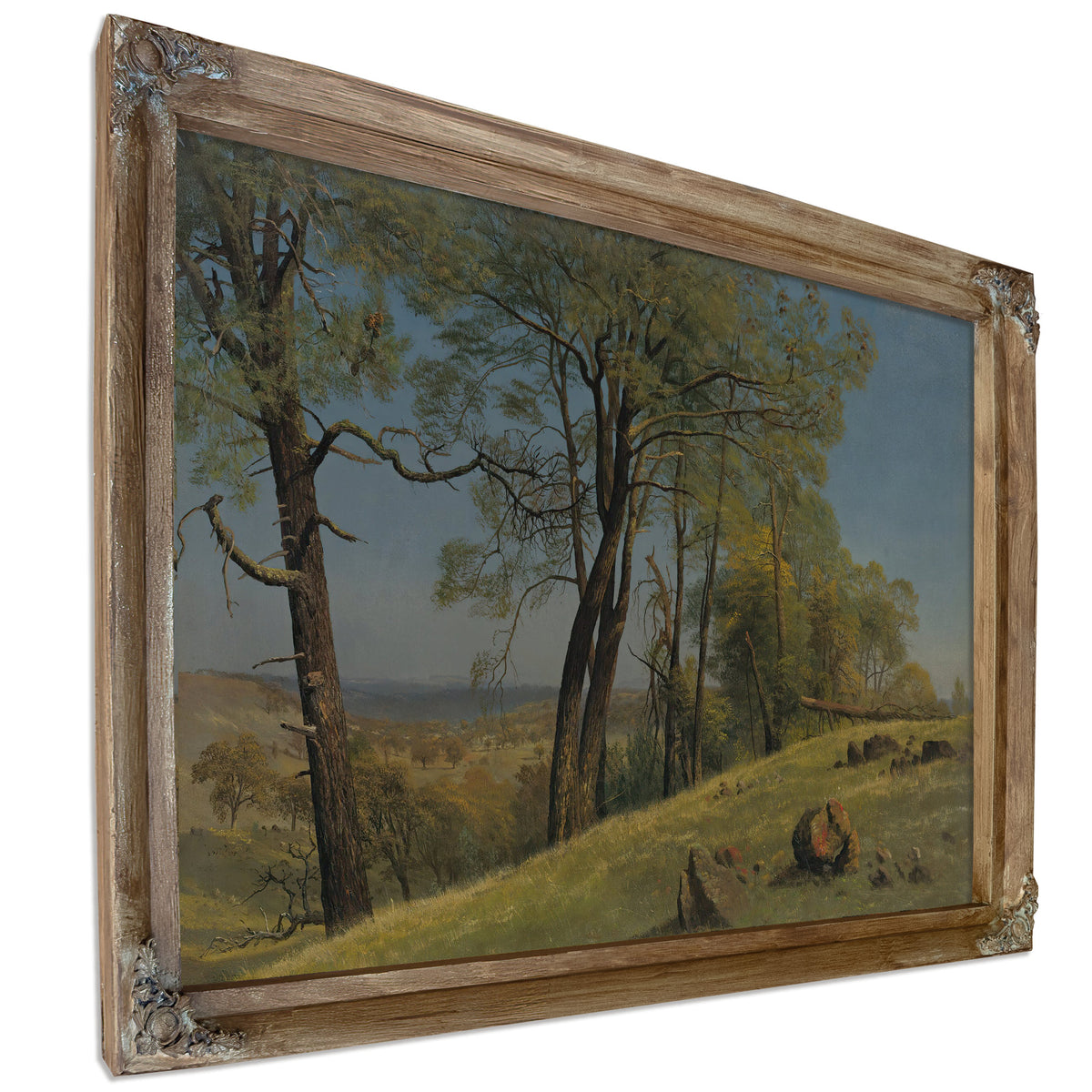 Rockland County California Circa 1872 By Albert Bierstadt