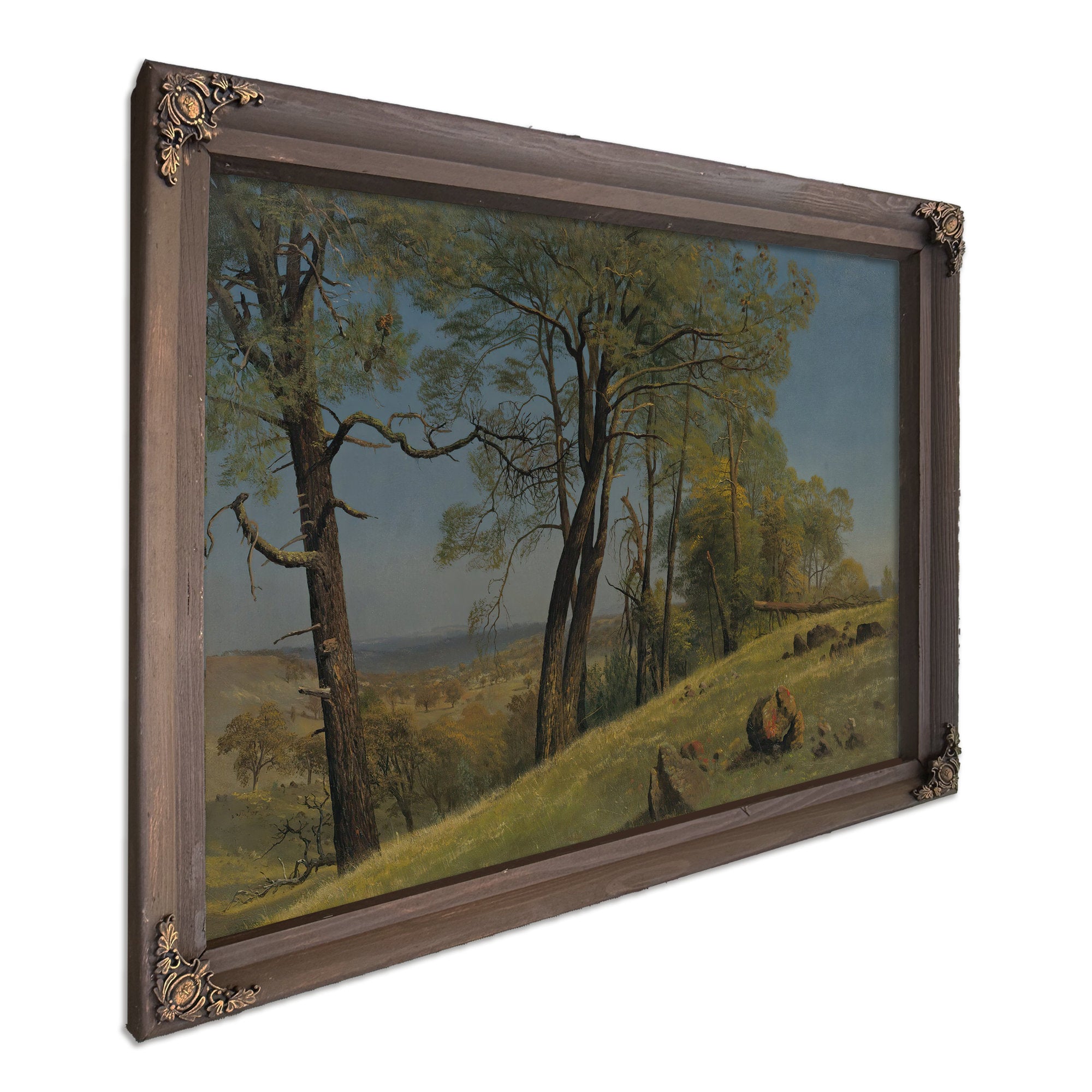 Rockland County California Circa 1872 By Albert Bierstadt