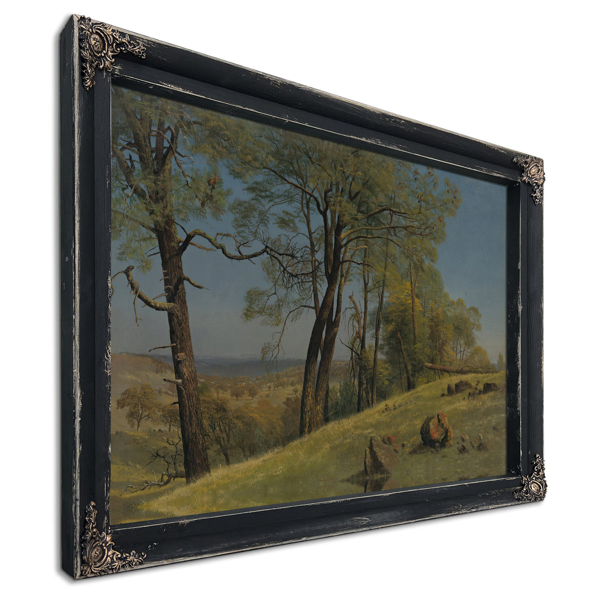 Rockland County California Circa 1872 By Albert Bierstadt