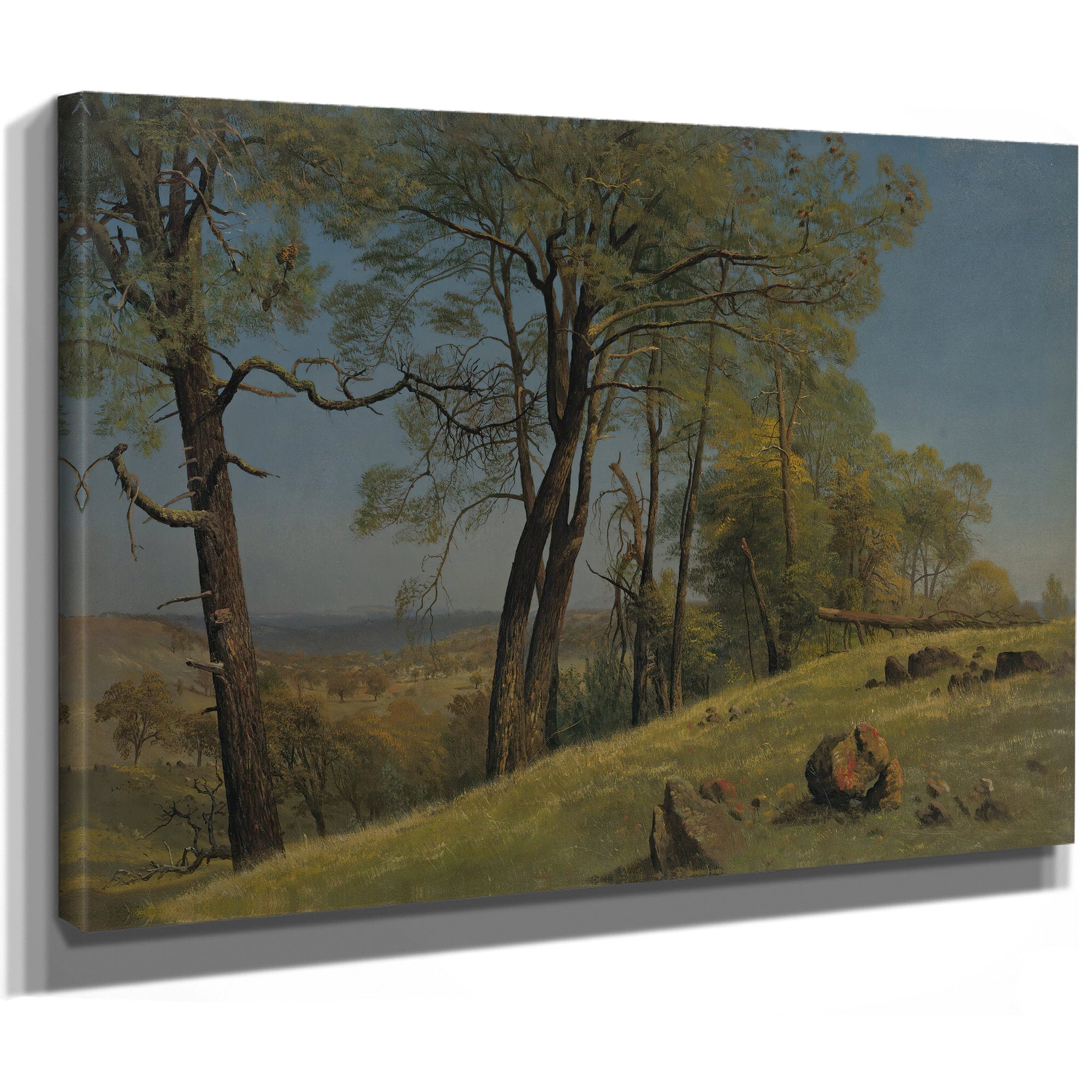 Rockland County California Circa 1872 By Albert Bierstadt