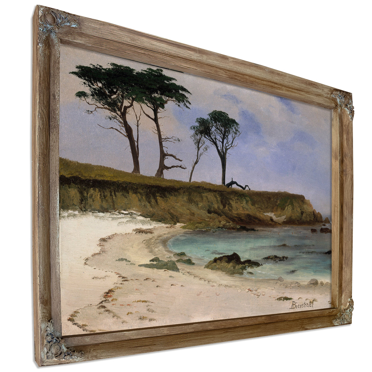 Sea Cove Ca 188090 By Albert Bierstadt