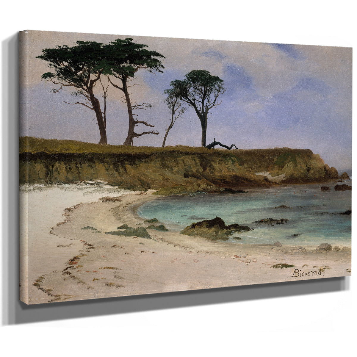 Sea Cove Ca 188090 By Albert Bierstadt