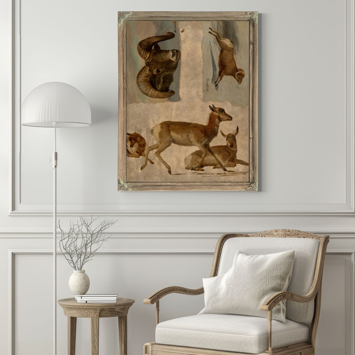 Study Bighorn Sheep Antelope By Albert Bierstadt