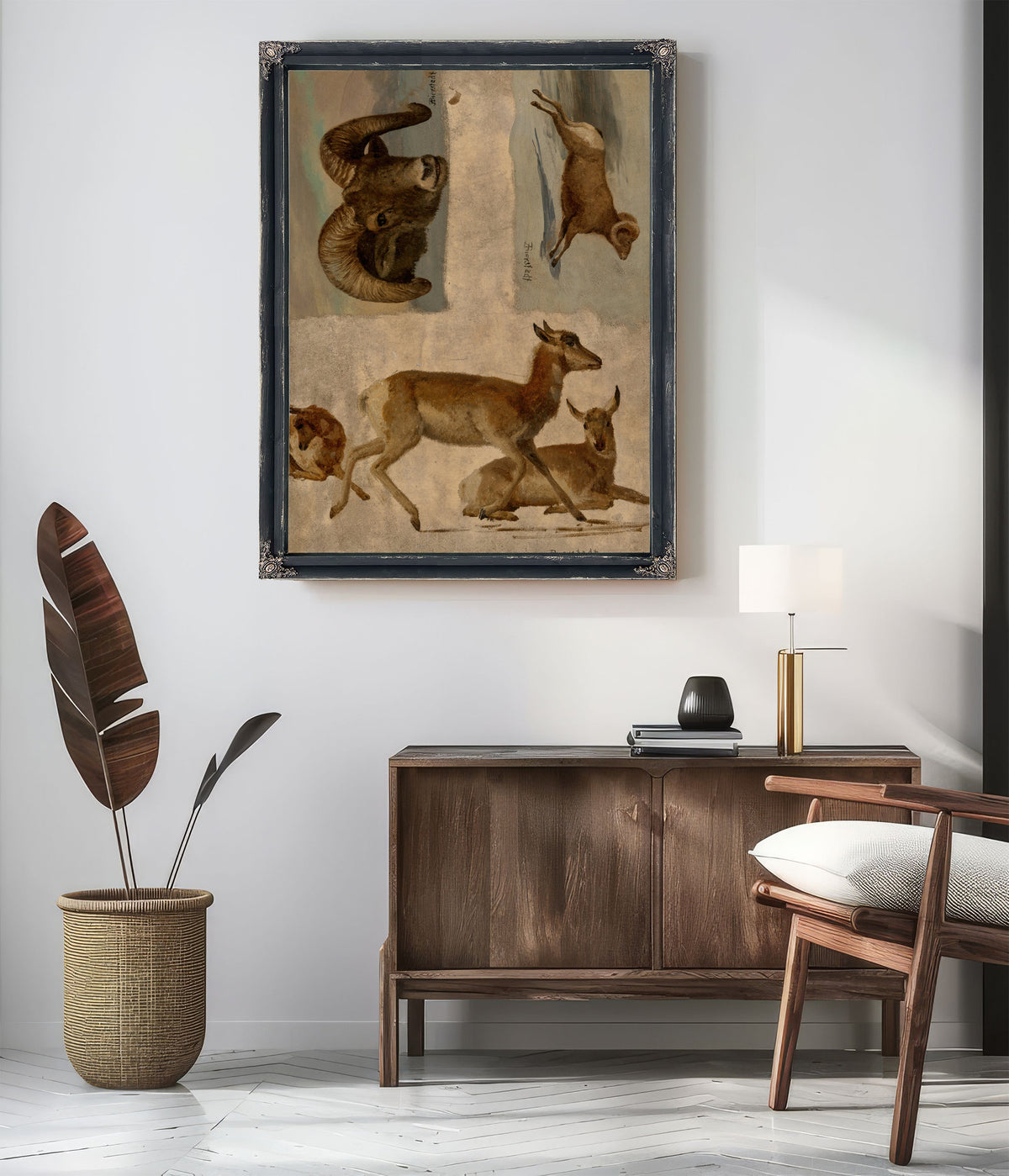 Study Bighorn Sheep Antelope By Albert Bierstadt