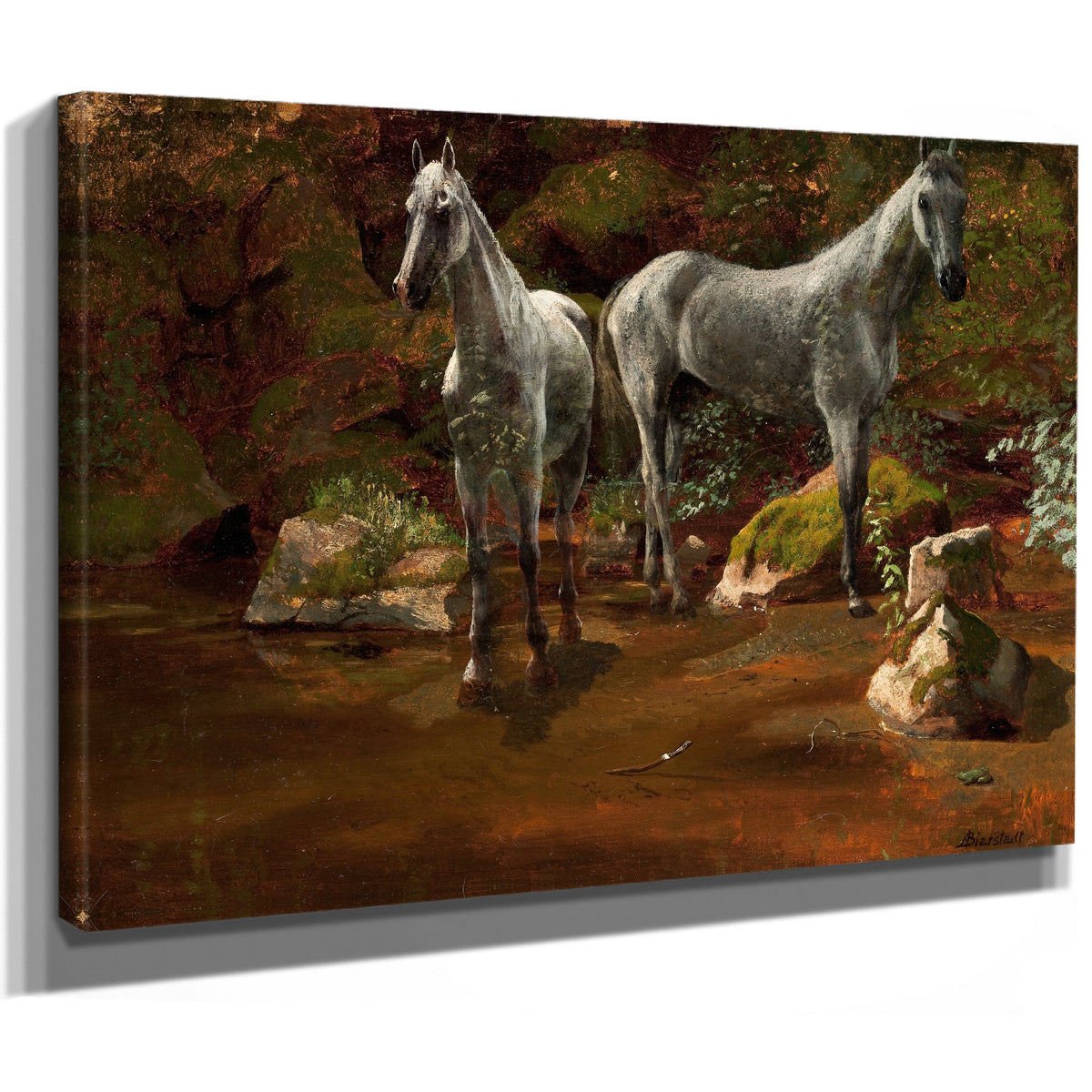 Study Wild Horses By Albert Bierstadt