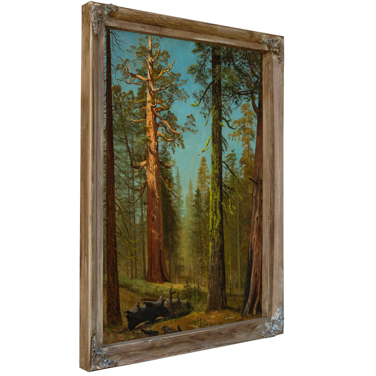 The Grizzly Giant Sequoia Mariposa By Albert Bierstadt