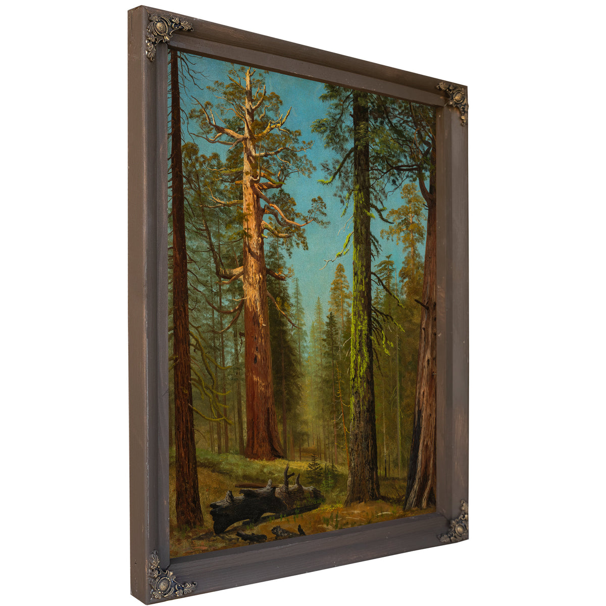 The Grizzly Giant Sequoia Mariposa By Albert Bierstadt