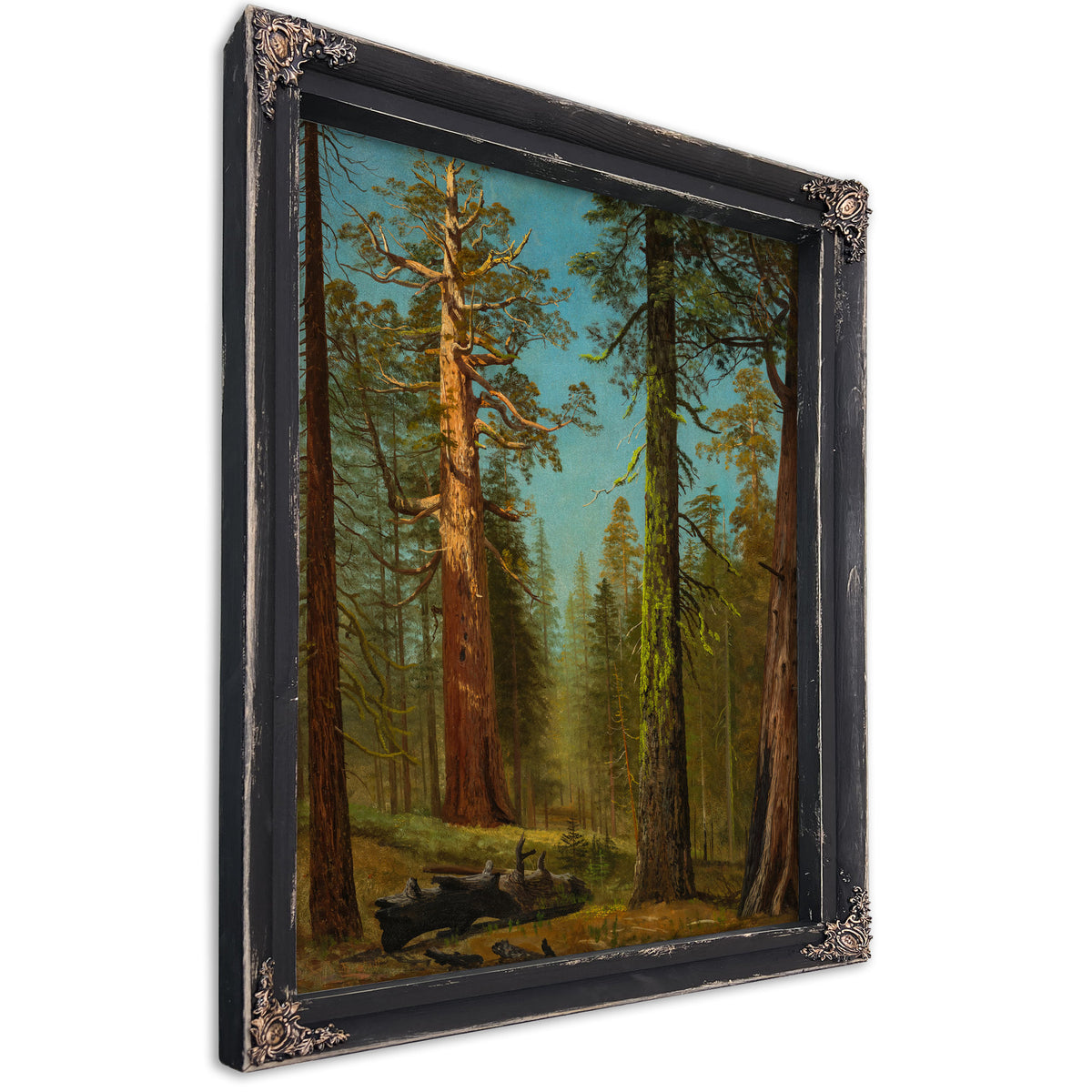 The Grizzly Giant Sequoia Mariposa By Albert Bierstadt