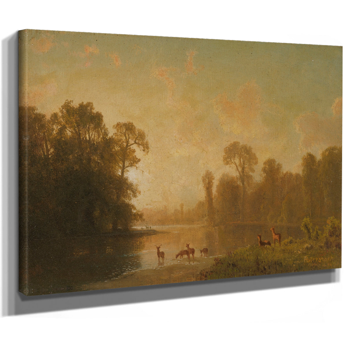 Twilight Deer By Albert Bierstadt