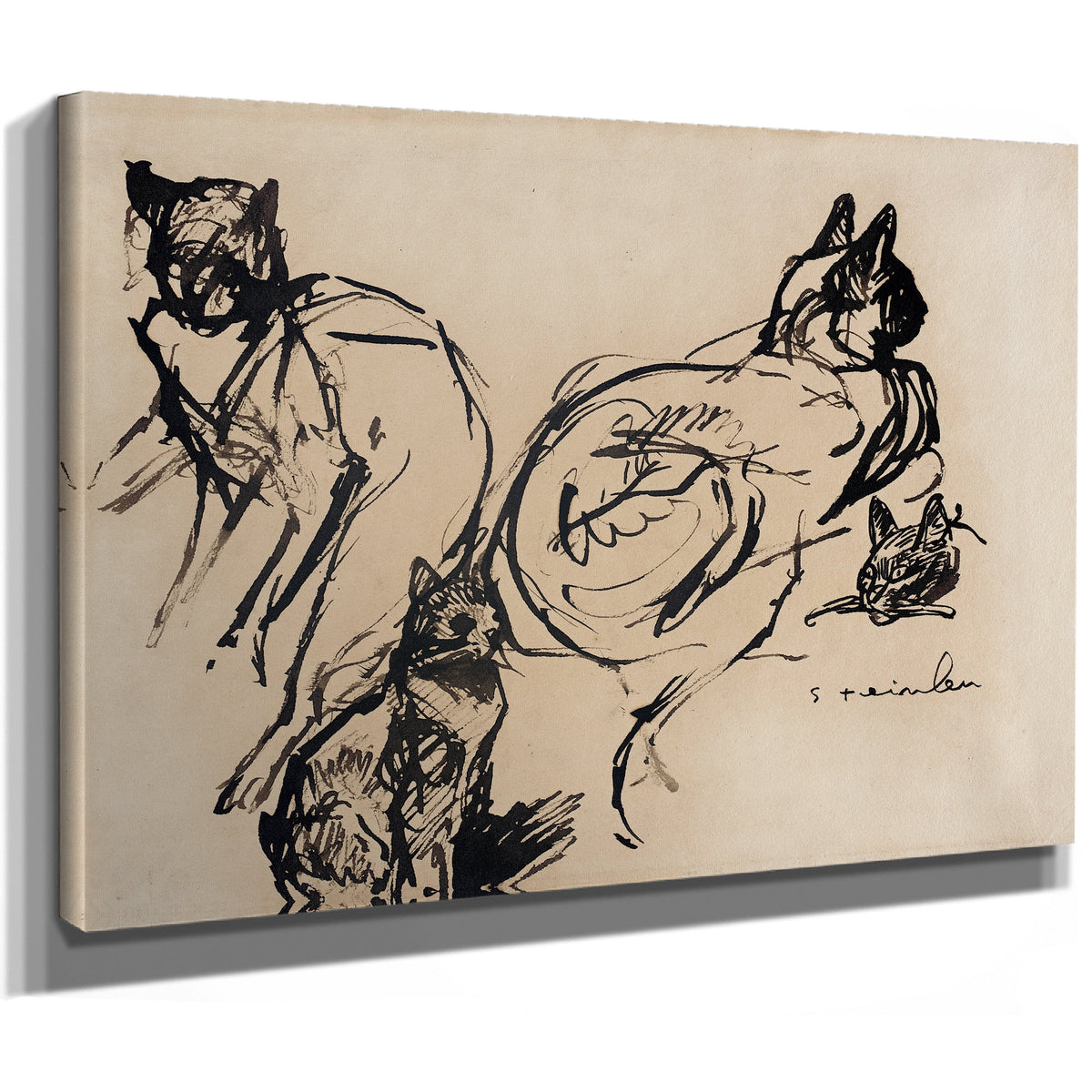 Cats Th Th Century By Alexandre Steinlen