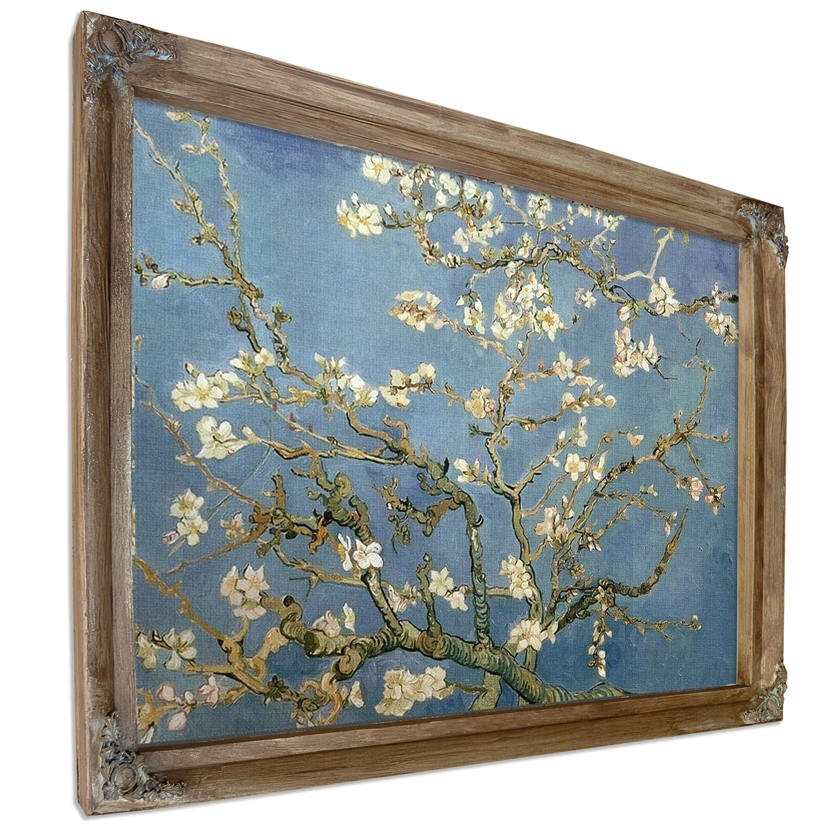 Almond Blossom By Vincent Van Gogh