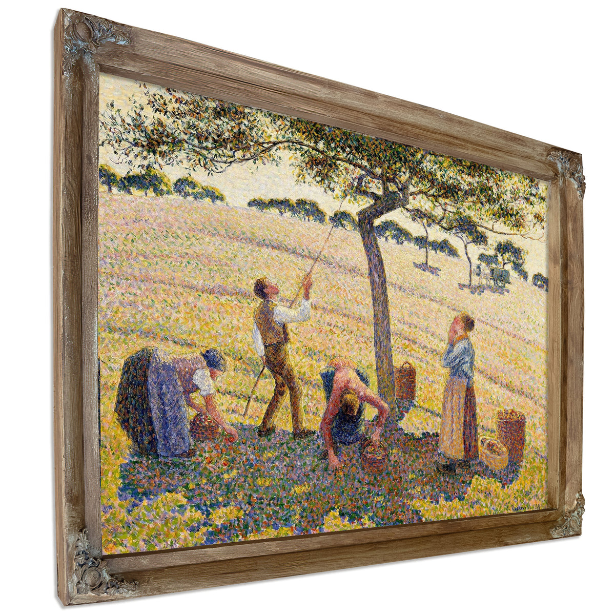 Apple Harvest by Camille Pissarro