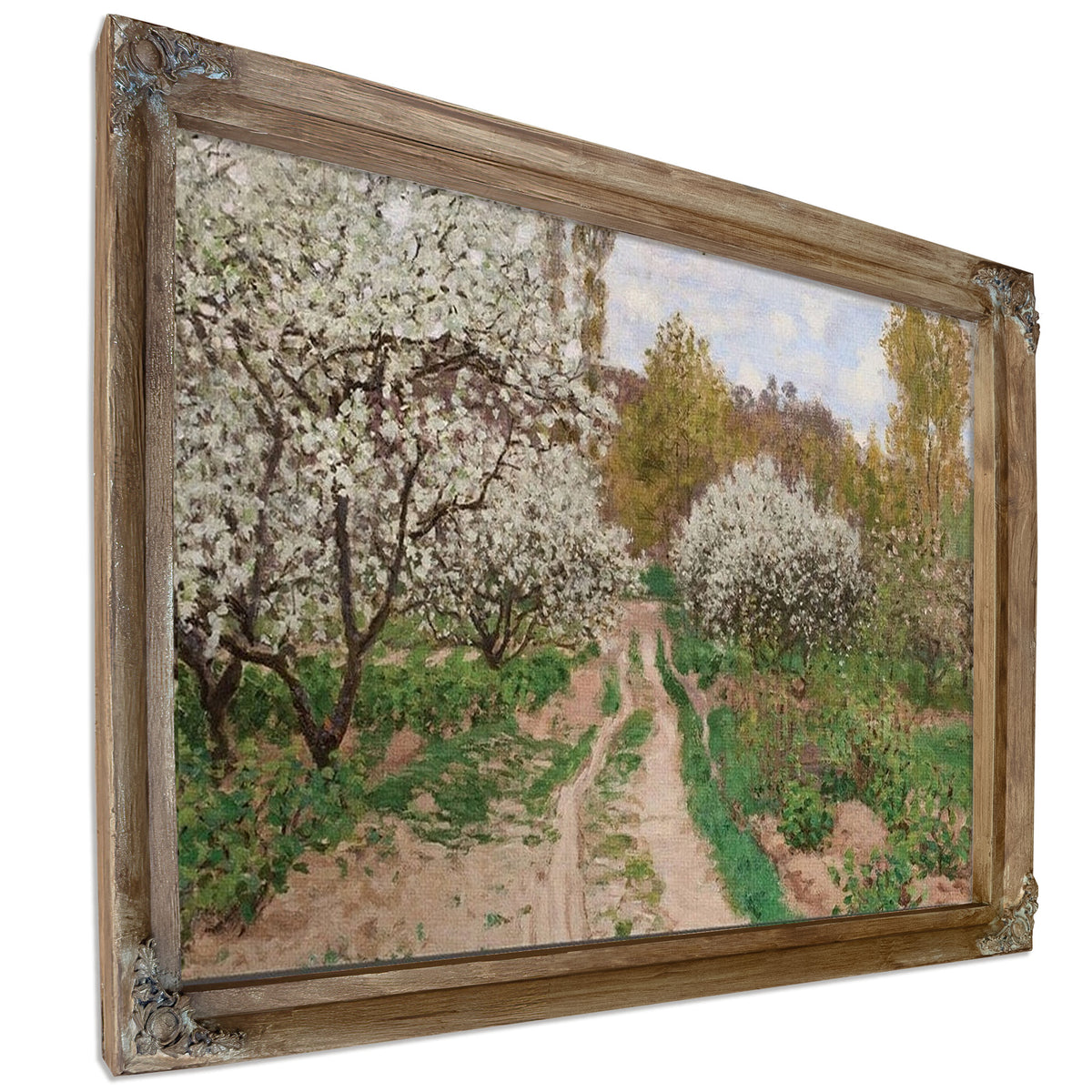 Apple Trees In Blossom By Claude Monet