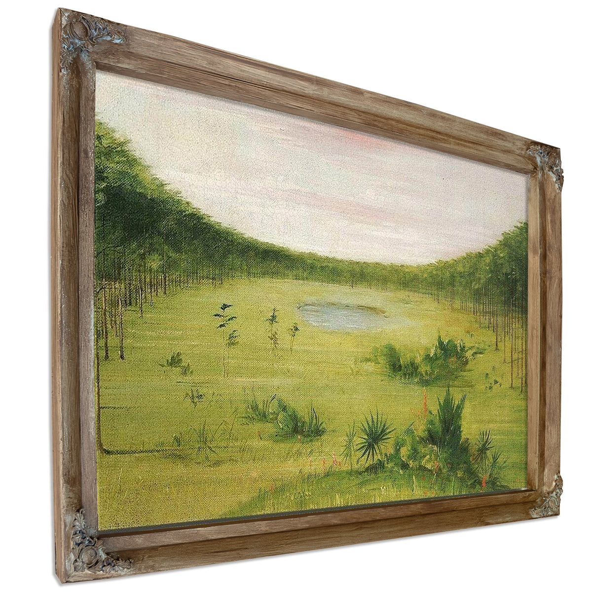 Beautiful Savannah In The Pine Woods Of Florida By George Catlin