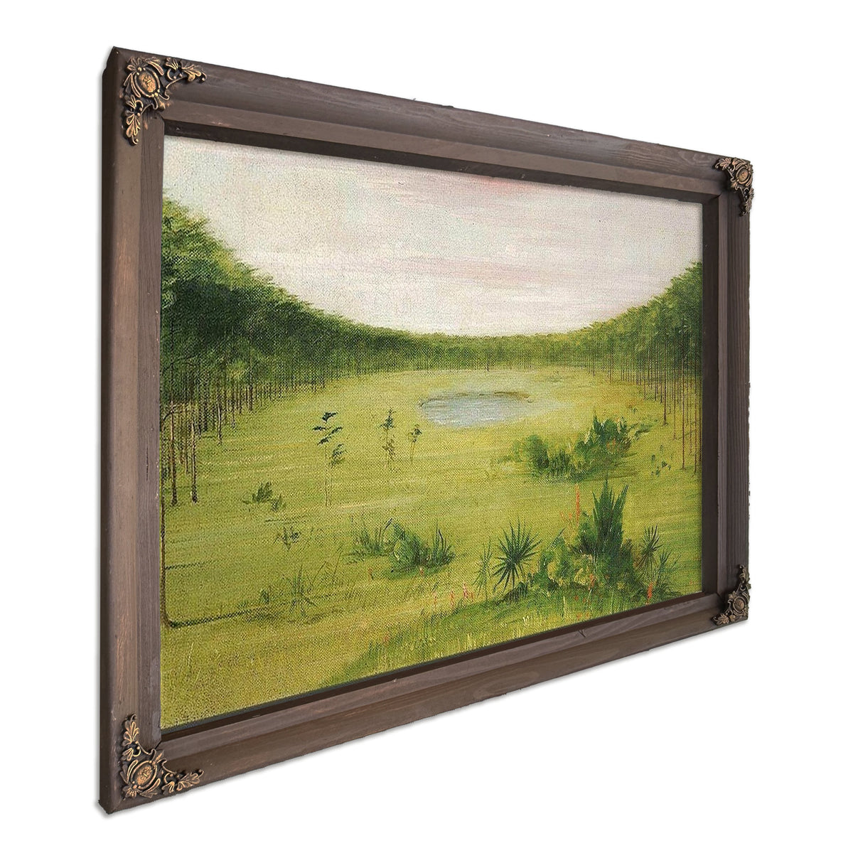 Beautiful Savannah In The Pine Woods Of Florida By George Catlin