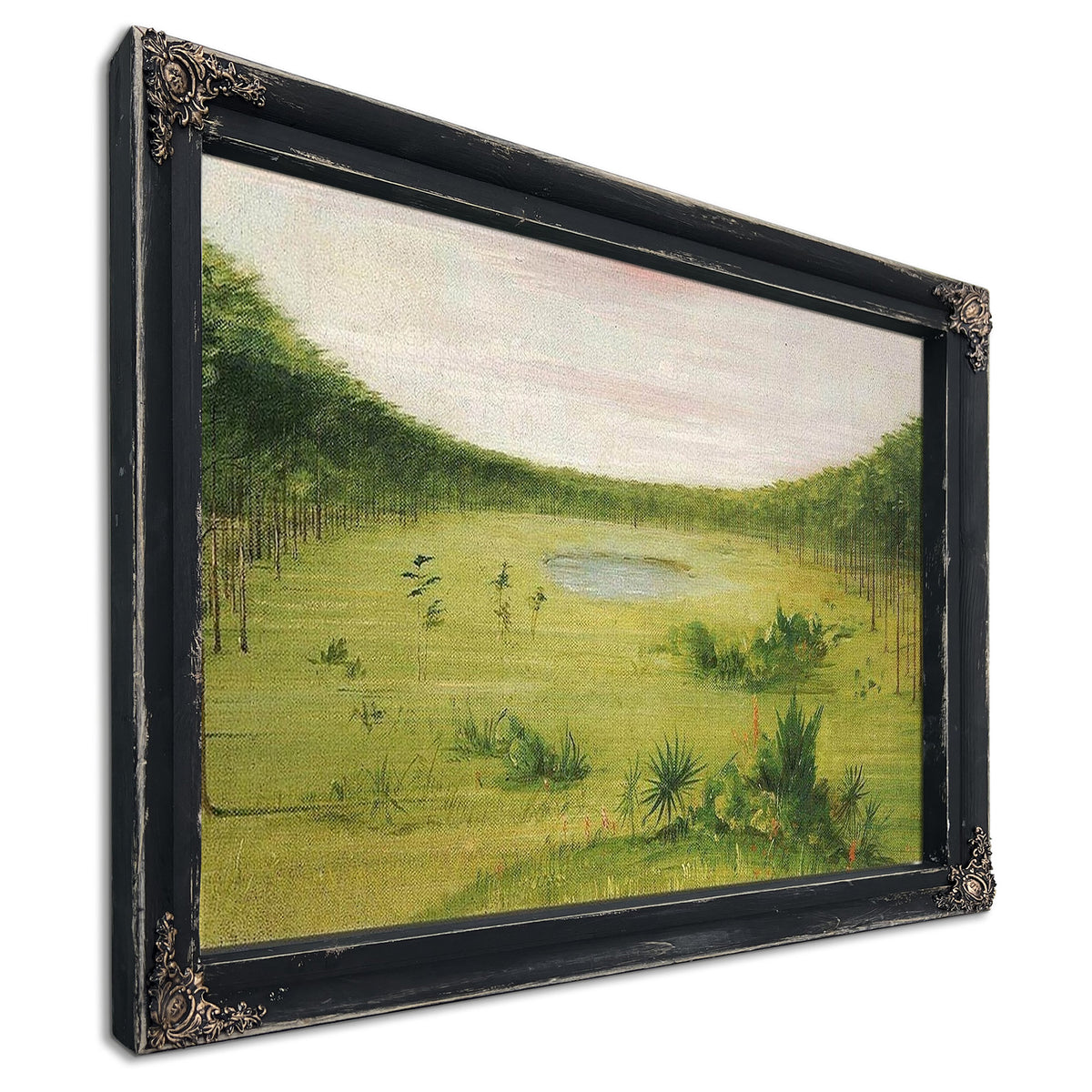 Beautiful Savannah In The Pine Woods Of Florida By George Catlin