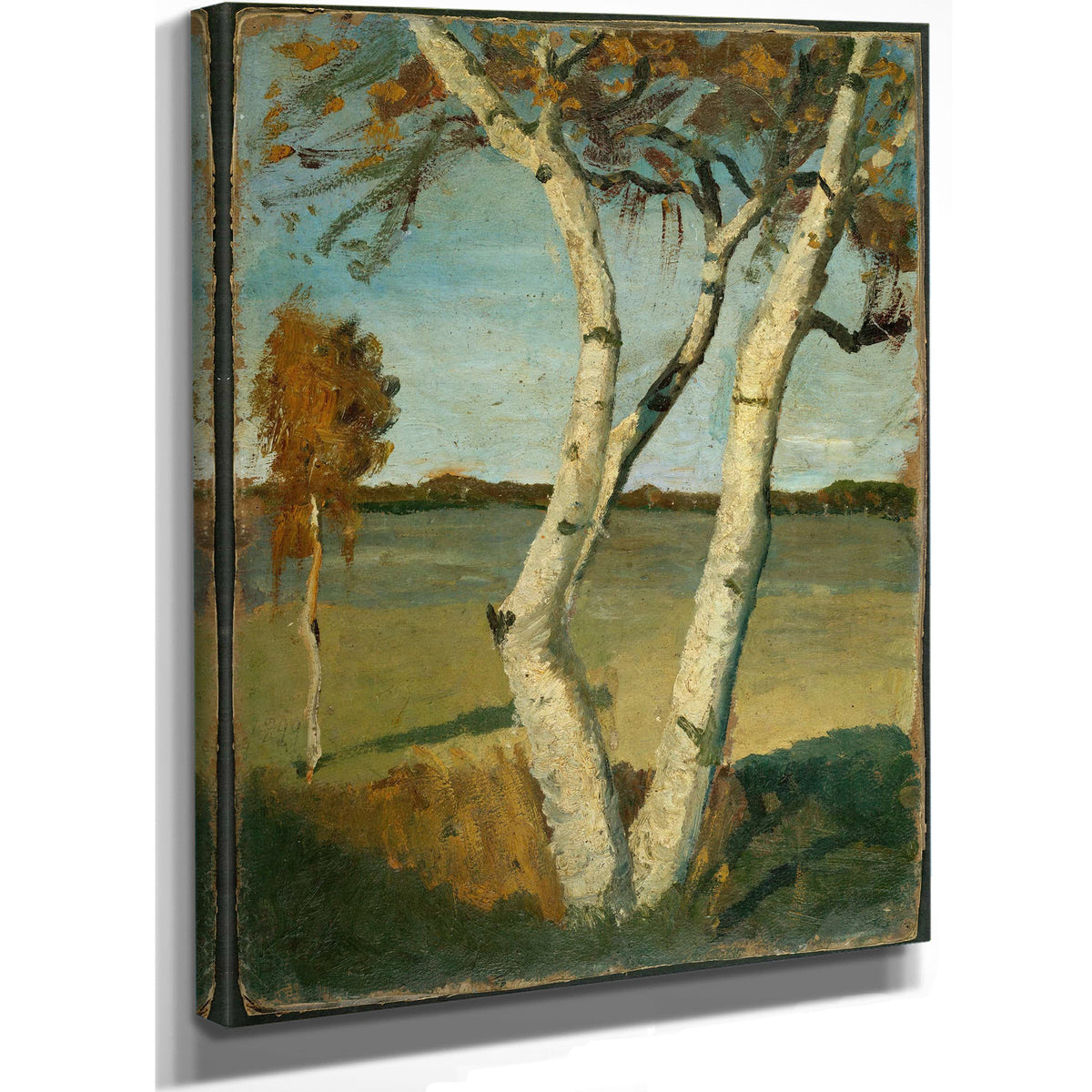 Birch Tree In A Landscape by Paula Modersohn Becker