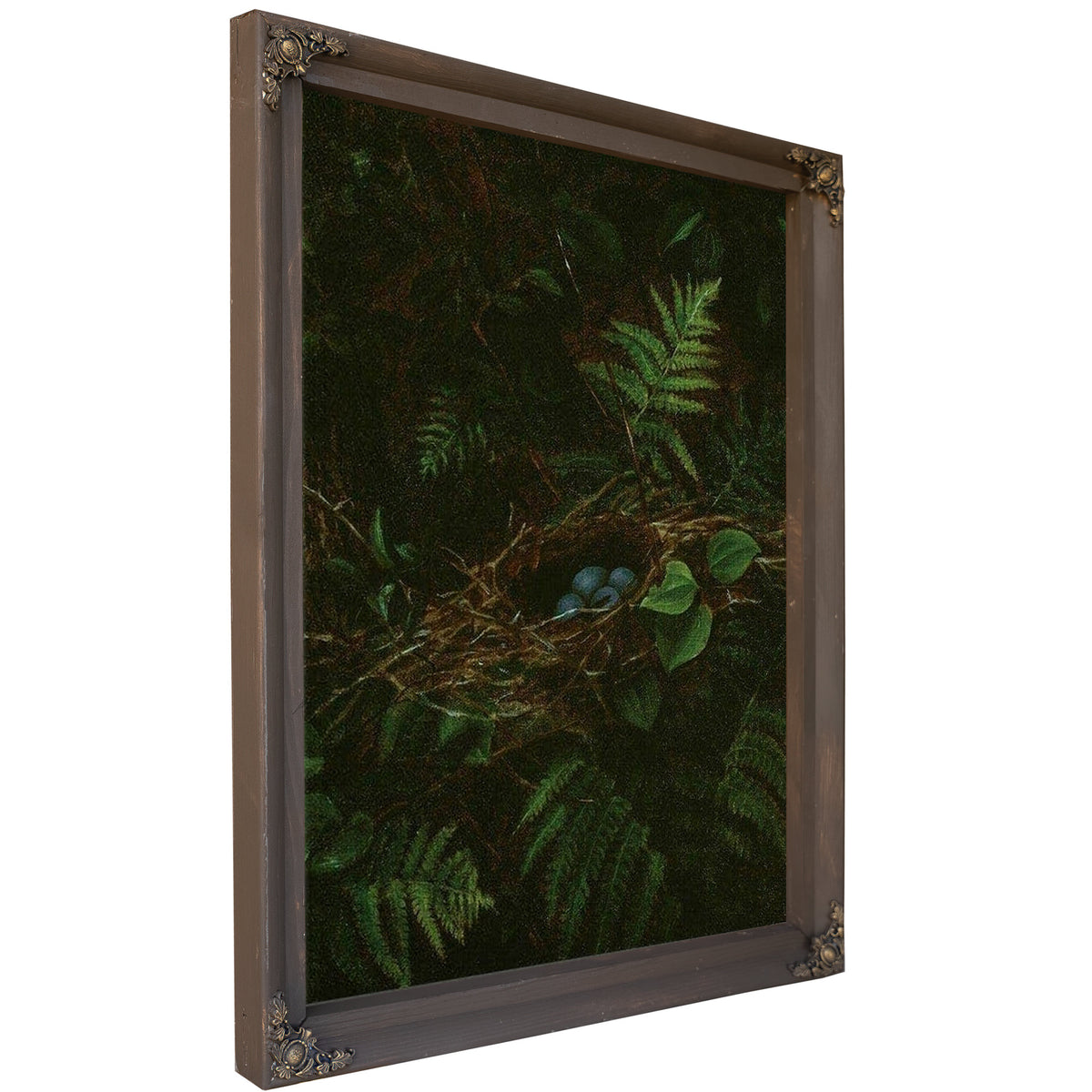 Bird's Nest And Ferns By Fidelia Bridges