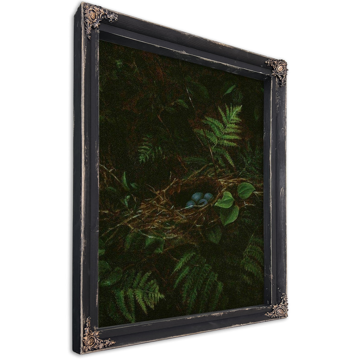 Bird's Nest And Ferns By Fidelia Bridges