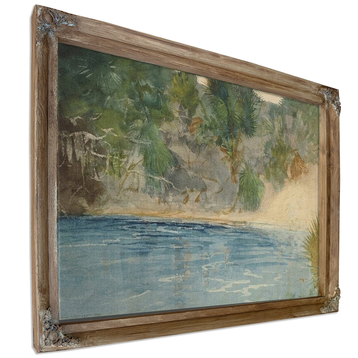 Blue Spring, Florida By Winslow Homer