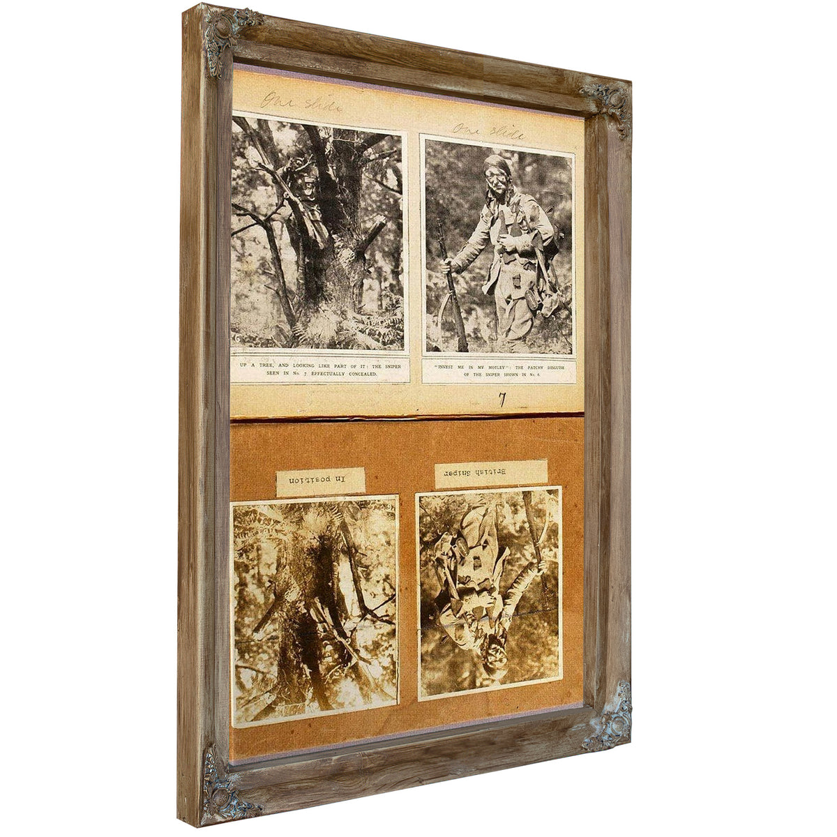 British Snipers Camouflage (Early Pictures), Study Folder For Book Concealing Coloration In The Animal Kingdom By Abbott Handerson Thayer