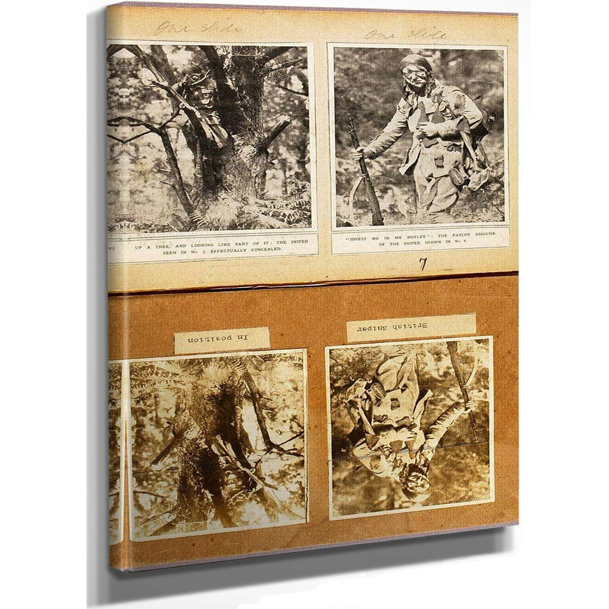 British Snipers Camouflage (Early Pictures), Study Folder For Book Concealing Coloration In The Animal Kingdom By Abbott Handerson Thayer