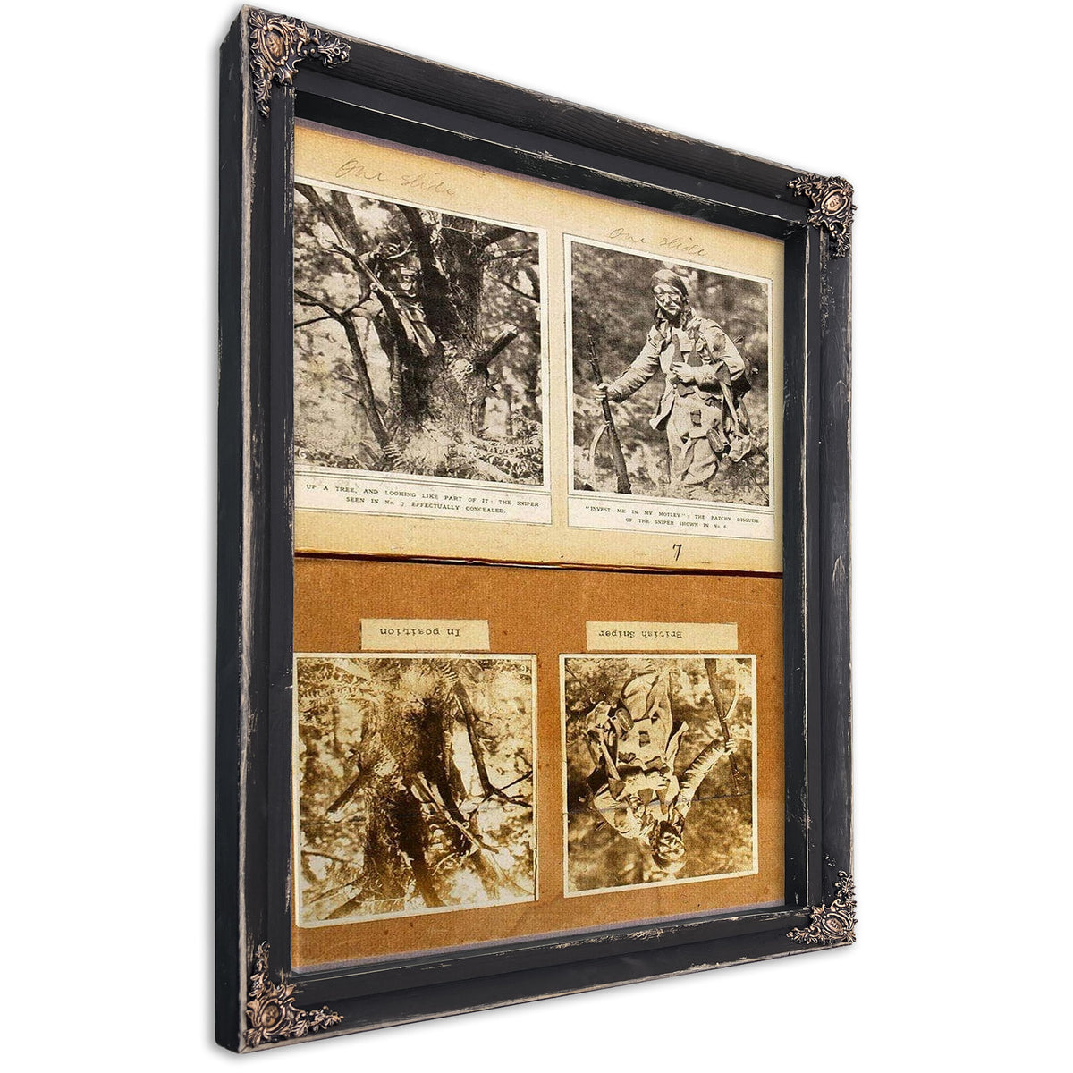 British Snipers Camouflage (Early Pictures), Study Folder For Book Concealing Coloration In The Animal Kingdom By Abbott Handerson Thayer