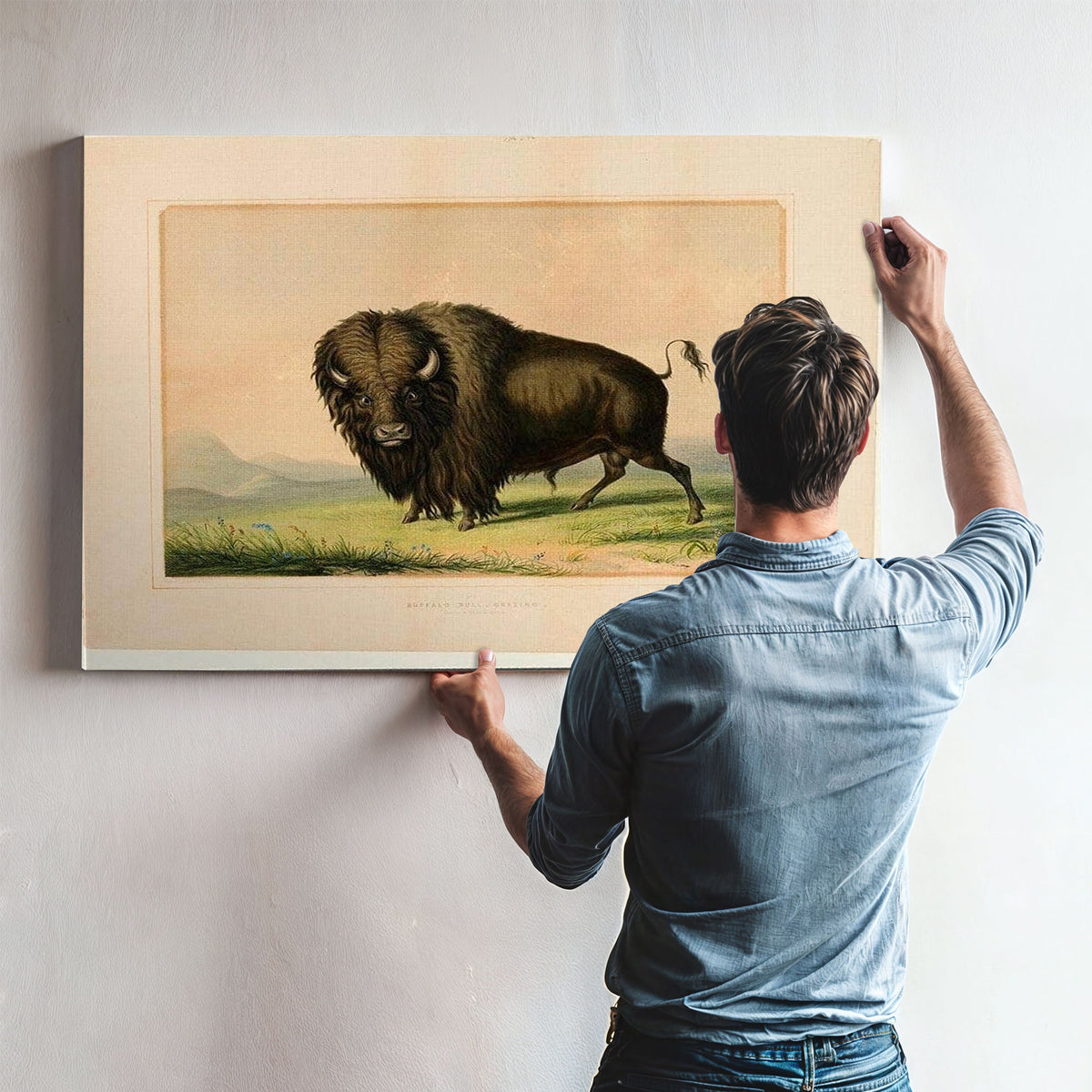 Buffalo Bull Grazing No.2 By George Catlin