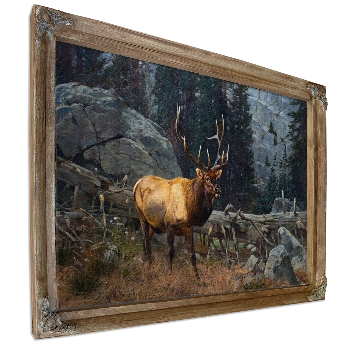 Bull Elk In The High Country By Carl Rungius