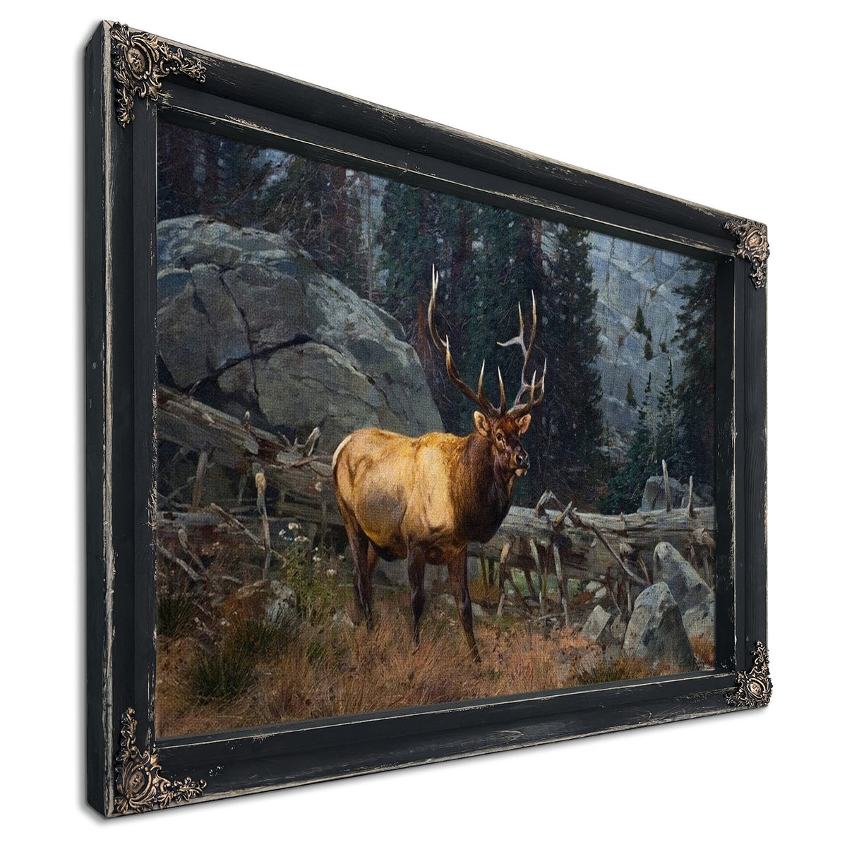 Bull Elk In The High Country By Carl Rungius