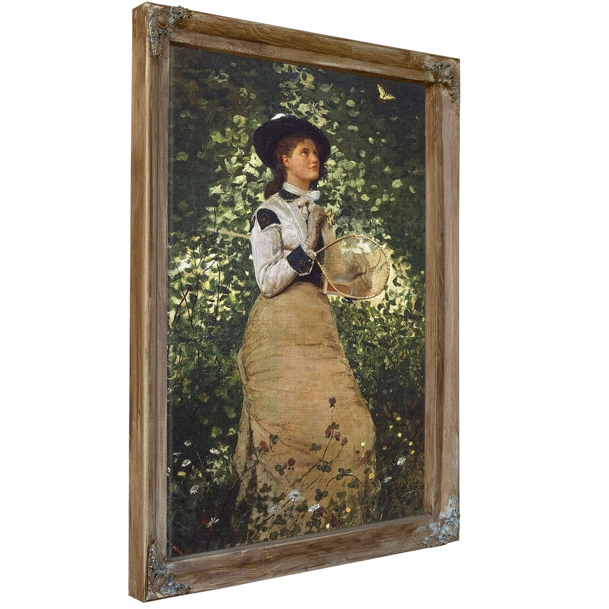 Butterflies By Winslow Homer