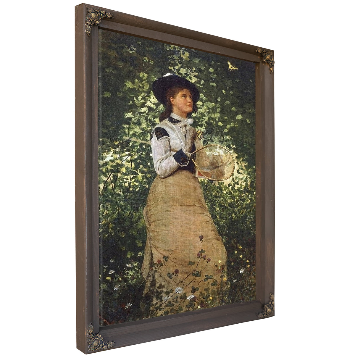 Butterflies By Winslow Homer