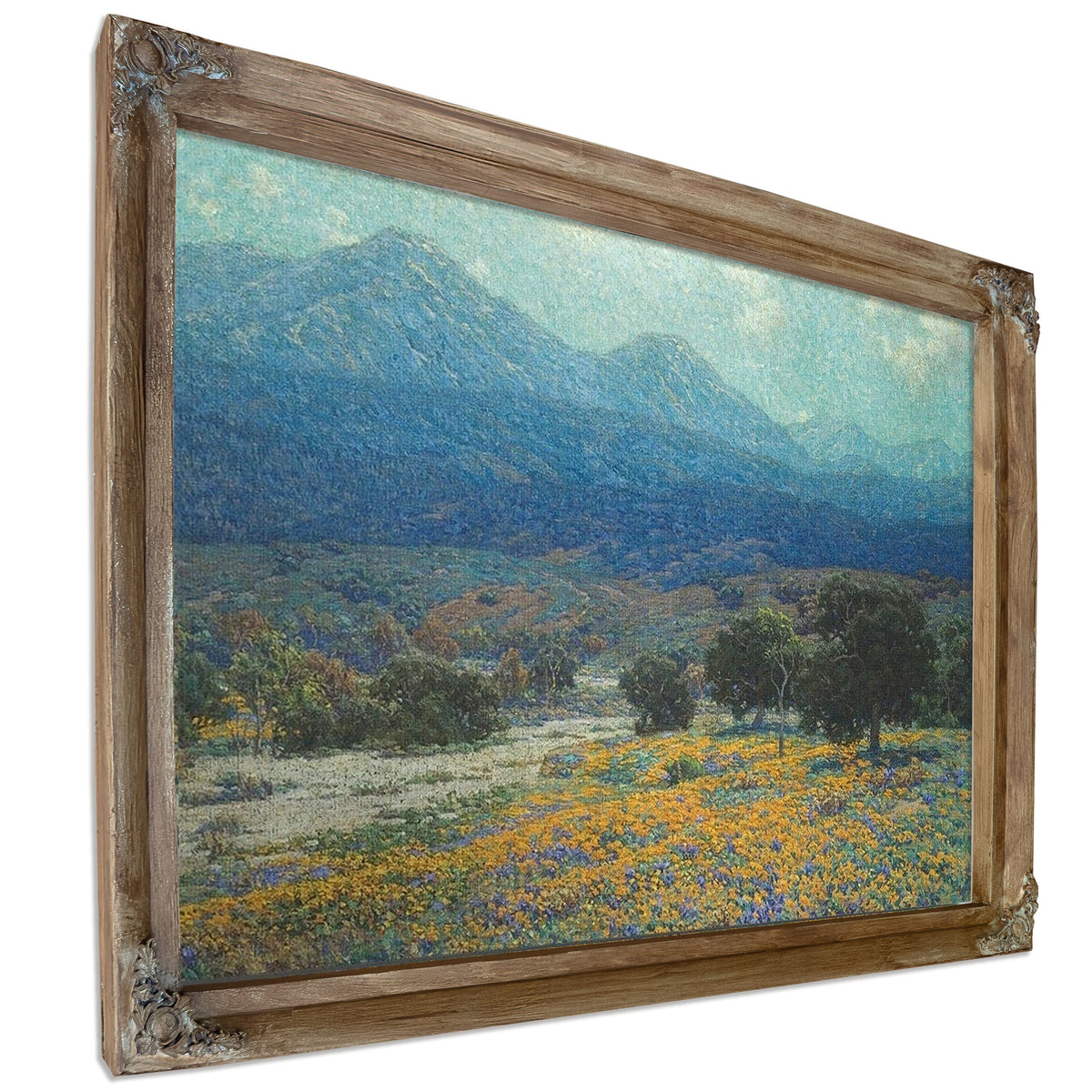California Poppy Field By Granville Seymour Redmond