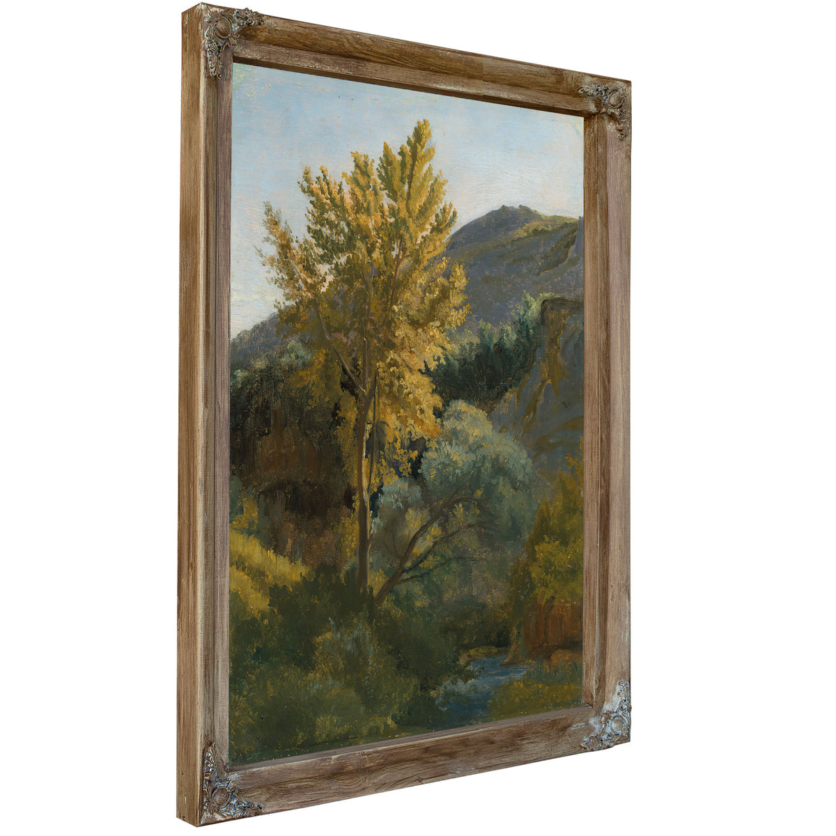 Etude Darbre Pres Dun Torrent En By Camille Corot