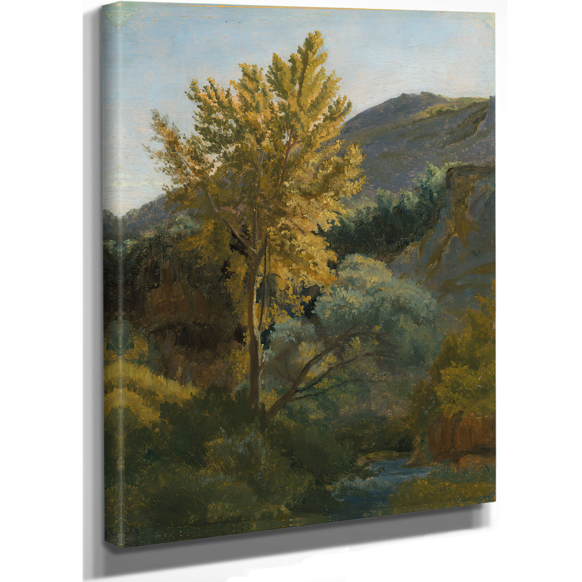 Etude Darbre Pres Dun Torrent En By Camille Corot